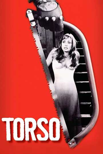 Torso Poster