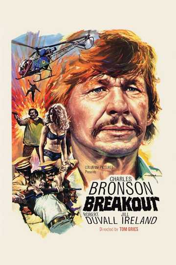Breakout Poster