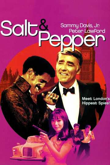 Salt & Pepper Poster