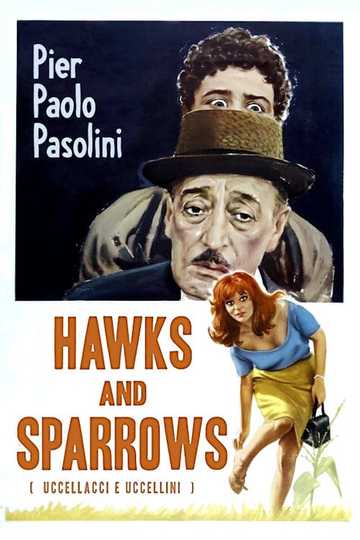 Hawks and Sparrows Poster