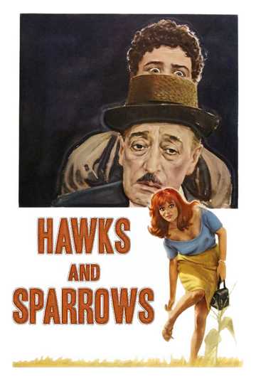 Hawks and Sparrows Poster