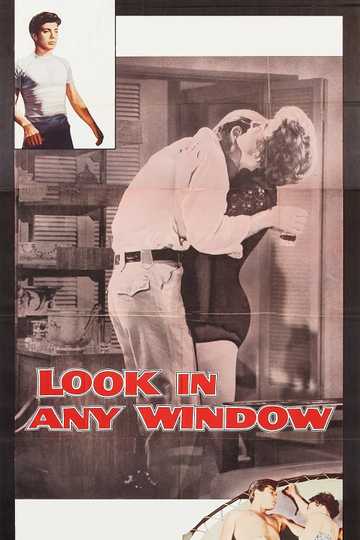 Look in Any Window Poster