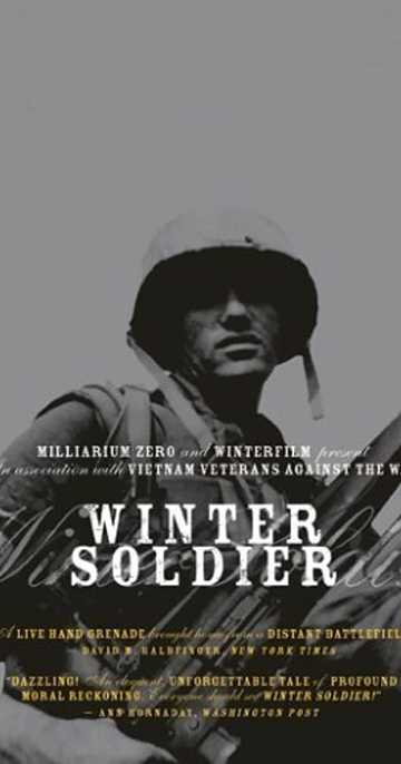 Winter Soldier Poster