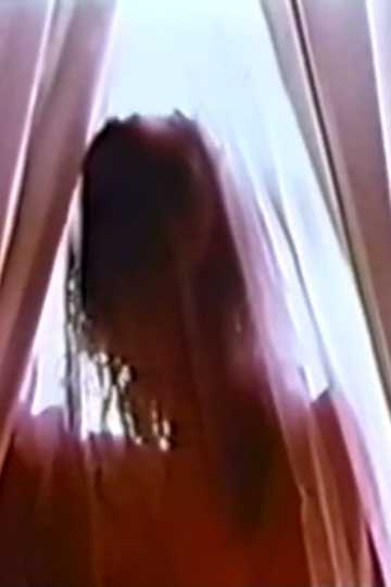 Sexual Meditation: Office Suite Poster