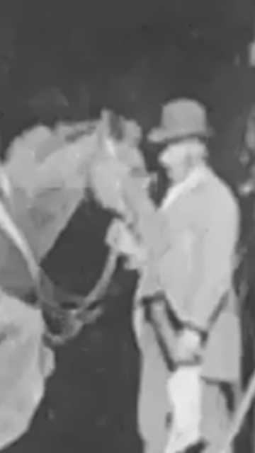 Horse Shoeing Poster