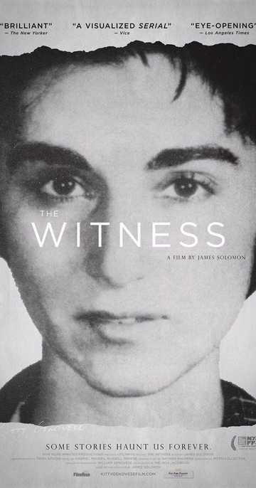 The Witness Poster