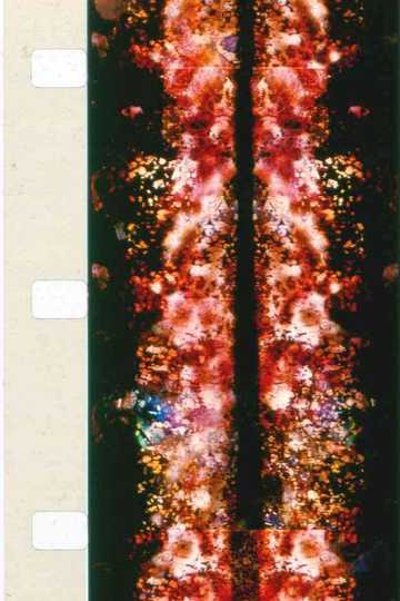 Chartres Series Poster