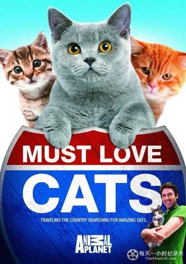 Animal Planet: Must Love Cats Poster