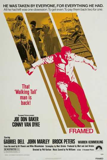 Framed Poster