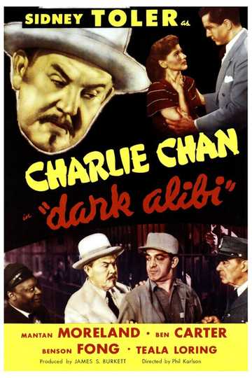 Dark Alibi Poster