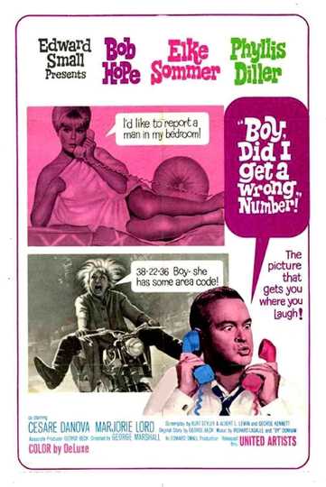 Boy, Did I Get a Wrong Number! Poster