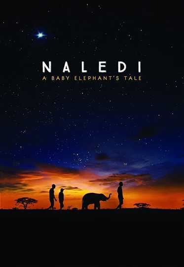 Naledi: A Baby Elephant's Tale Poster