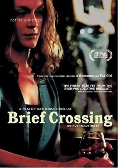 Brief Crossing Poster