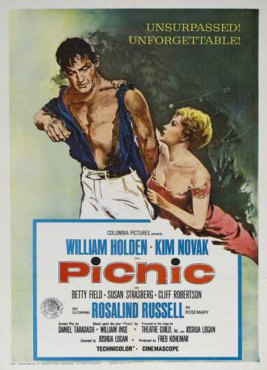 Picnic Poster