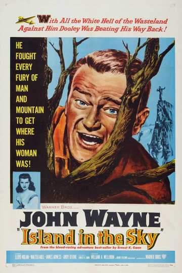 Island in the Sky Poster