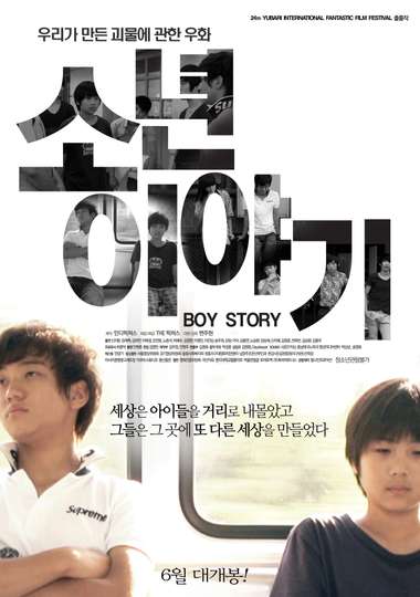 Boy Story Poster