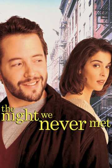 The Night We Never Met Poster