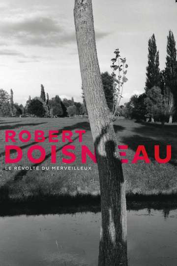 Robert Doisneau: Through the Lens Poster