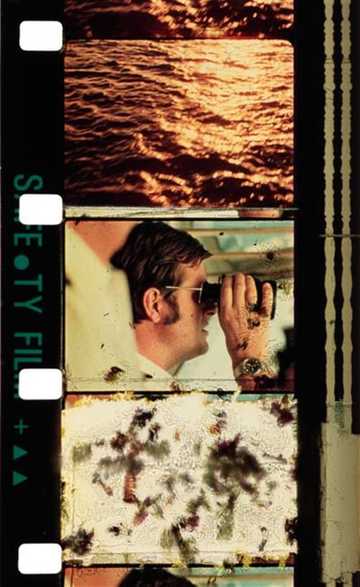 Cruises Poster