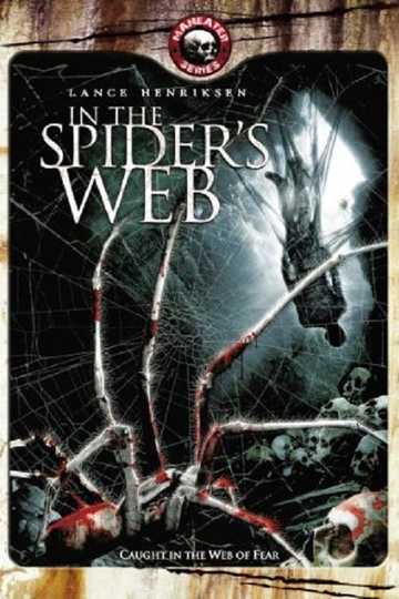 In The Spider's Web Poster