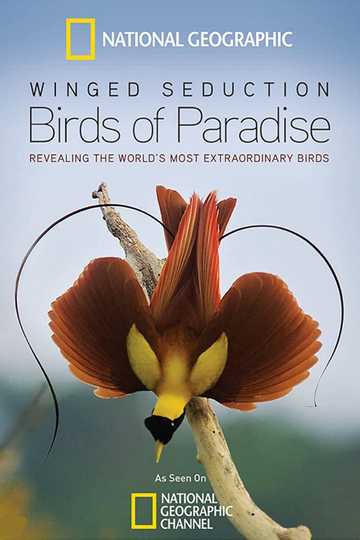 Winged Seduction: Birds of Paradise Poster
