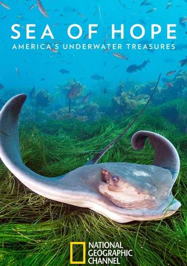 Sea of Hope: America's Underwater Treasures Poster