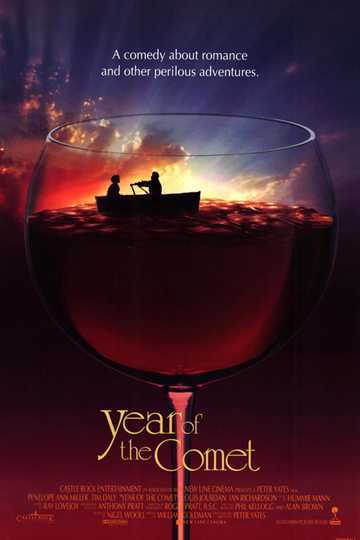 Year of the Comet Poster