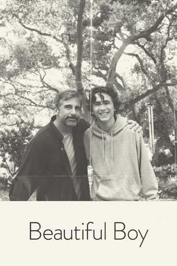Beautiful Boy Poster
