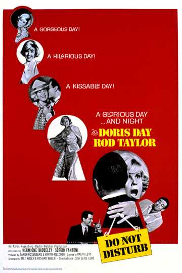Do Not Disturb Poster