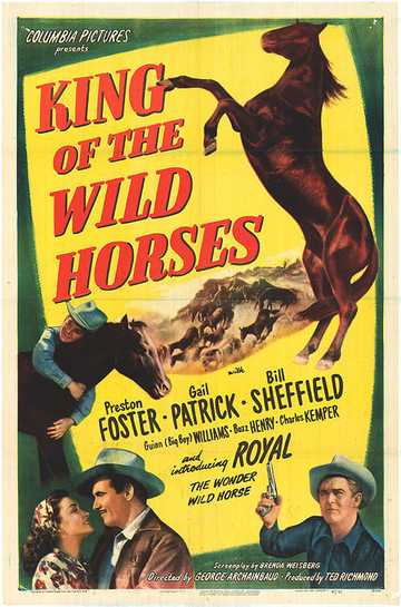 King of the Wild Horses Poster