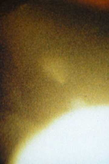 January 1980 Movies | Moviefone