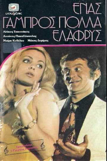 Ένας Γαμπρός Πολλά Ελαφρύς Poster