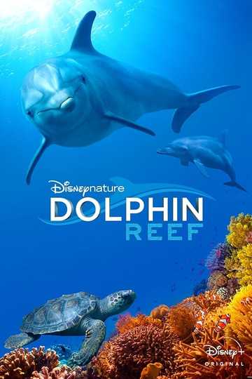Dolphin Reef Poster