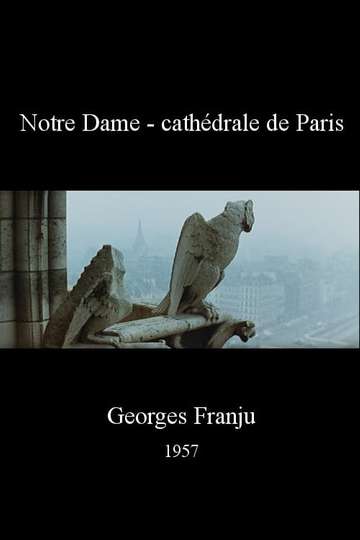 Notre Dame - cathédrale de Paris Poster