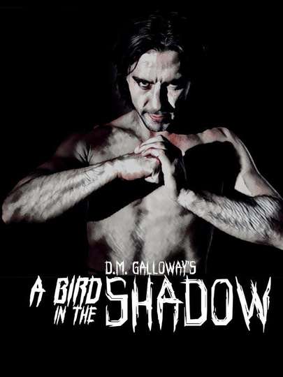 A Bird In The Shadow Poster