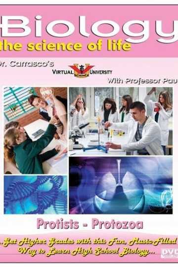 Protozoa Poster
