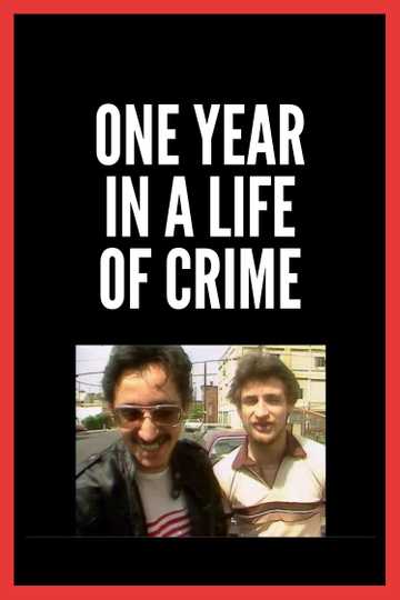 One Year in a Life of Crime Poster