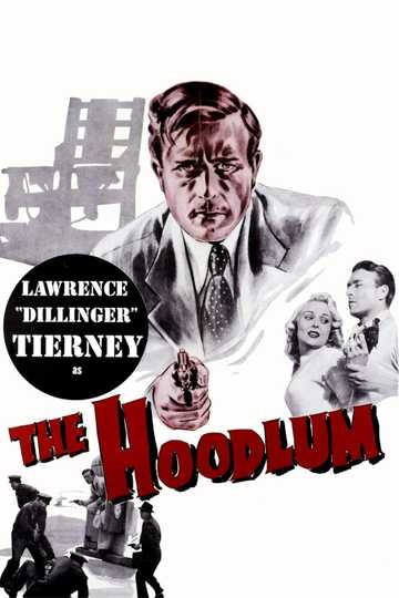 The Hoodlum Poster