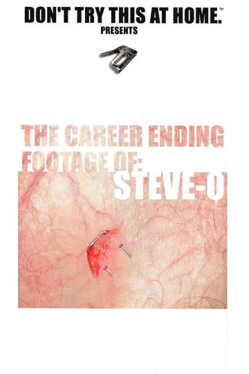 The Career Ending Footage of SteveO Poster