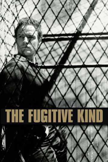 The Fugitive Kind Poster