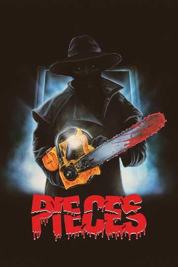Pieces Poster