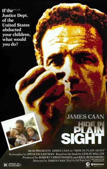 Hide in Plain Sight Poster