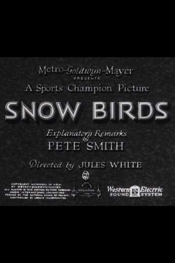 Snow Birds Poster