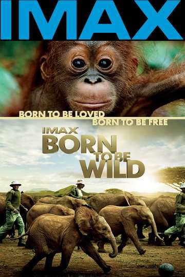 Born to Be Wild Poster