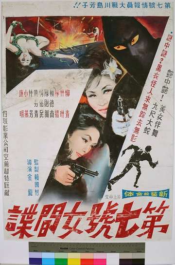 Female Agent No7 Poster