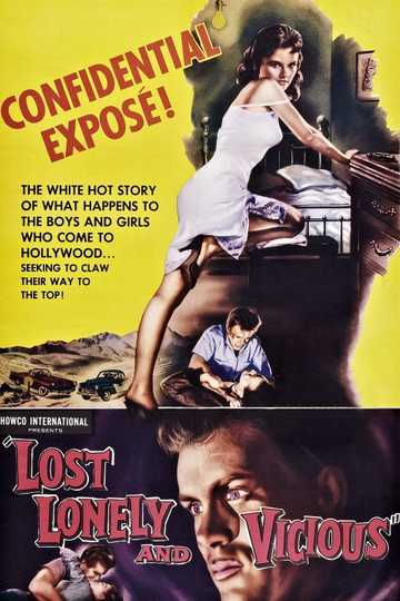 Lost, Lonely and Vicious Poster