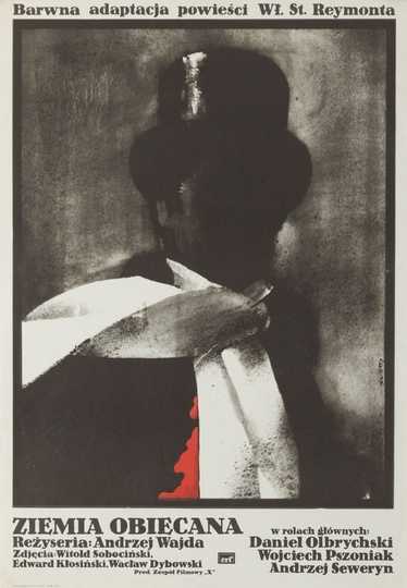 The Promised Land Poster