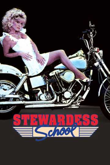 Stewardess School Poster