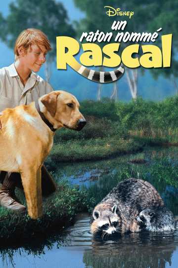 Rascal Poster