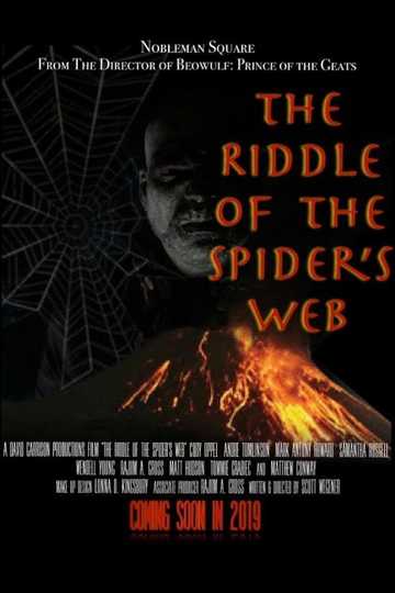 The Riddle Of The Spider's Web Poster
